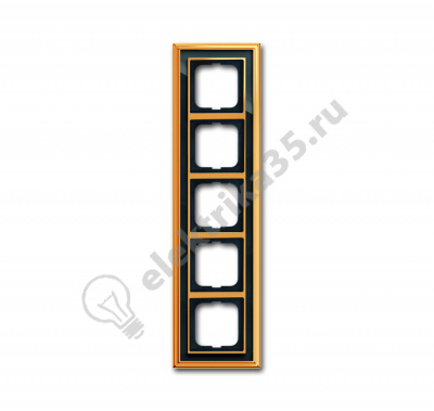 Рамка 5-м Династия Латунь полированная стекло черн. ABB 2CKA001754A4569