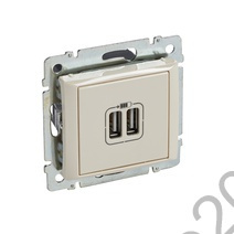Розетка USB 2-м СП Valena сл. кость Leg 774170