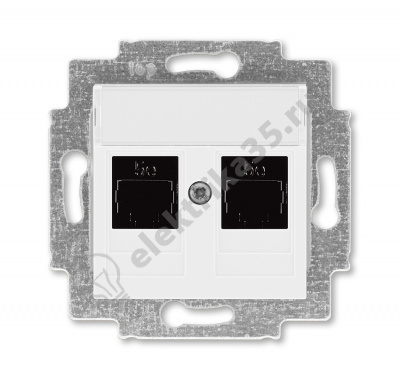 Розетка комп. Levit 2хRJ45 кат. 5e бел. ABB 2CHH295118A6003