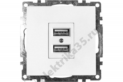 Розетка USB 2-местная, 250B, 2,4А,, белый  Stekker (GLS10-7115-01)