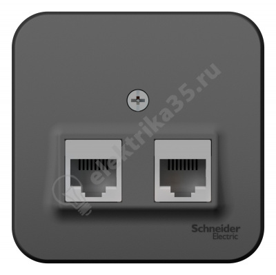 Розетка комп. 2-м ОП BLANCA RJ45 антрац. SchE BLNIA045456