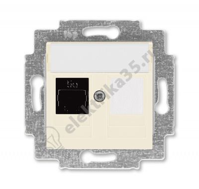 Розетка комп. Levit RJ45 кат. 5e и заглушка сл. кость ABB 2CHH295117A6017