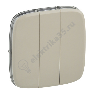 Панель лицевая для 3-кл. выключателя. сл. кость Valena Allure Leg 755036