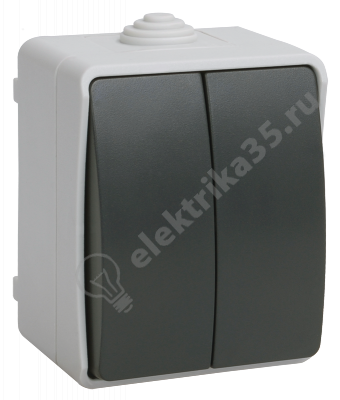 Выключатель двухклавишный наружный IP54 ФОРС IEK