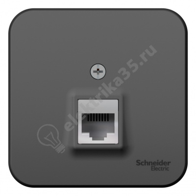 Розетка комп. ОП BLANCA RJ45 антрац. SchE BLNIA045006