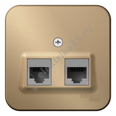 Розетка комп. 2-м ОП BLANCA RJ45 титан SchE BLNIA045454