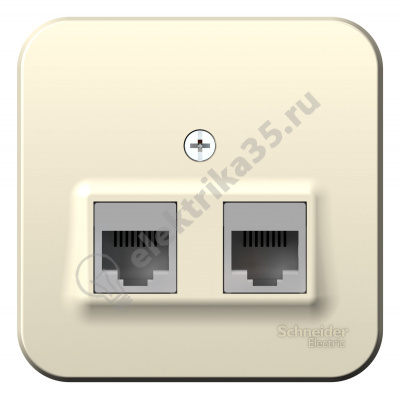 Розетка комп. 2-м ОП BLANCA RJ45 молоч. SchE BLNIA045452