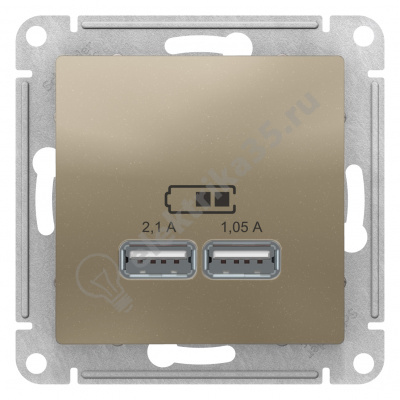 Мех-м розетки USB ATLAS шампань SchE ATN000533