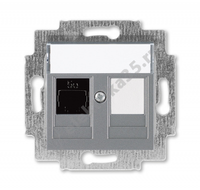 Розетка комп. Levit RJ45 кат. 5e и заглушка сталь ABB 2CHH295117A6069