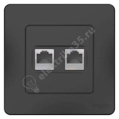 Розетка комп. 2-м СП BLANCA RJ45, антрац. SchE BLNIS045456